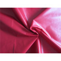 20d Nylon Taffeta Fabric for Down Coat (XSN007)