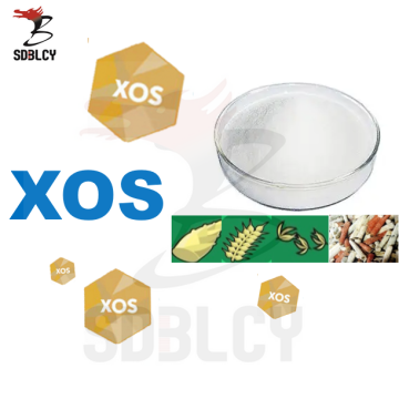 Backfutter Süßstoff xylo-oligosaccharid xos 95 Power