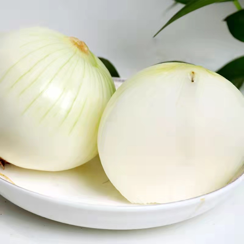 Yellow onion