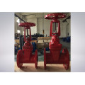 Rubber Encapsulated Wedge Gate Valve