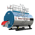 Diesel Oil Fired Steam Boiler for Sizing Mill