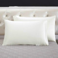 19MM Terse Mulberry Pure Silk Envelope Closure Pillowcase