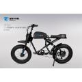 Electric cycle e bike Urban