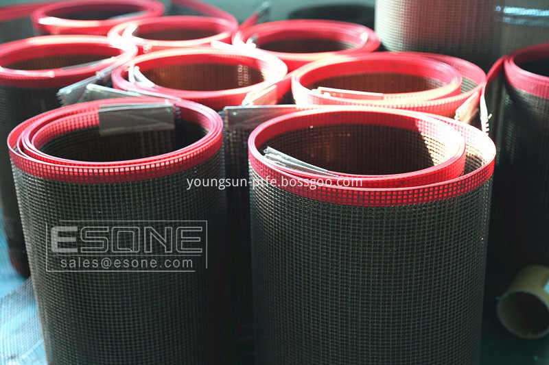 Porous PTFE mesh belt