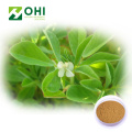 Common Fenugreek Seed Extract