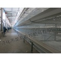 Galvanisation automatique Broiler Chicken Cage (H Type)