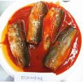 Makrelenfisch in Dosen in Tomatensauce