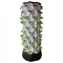 Strawberry Aeroponic Container Vertical Greenhouse