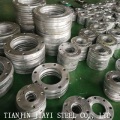 High Quality Galvanized Flange Nuts