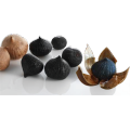 peeled black garlic bulbs for sale