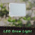 Lámpara de cultivo de luz de crecimiento cuántico interior