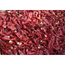 Export Good Quality Fresh Chinese Red Bell Pepper