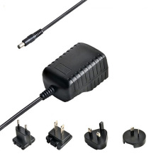 6v 1a Plug Interchangeable Ac Dc Adapter