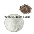 Купить онлайн порошок экстракта Fructus Ligustri Lucidi