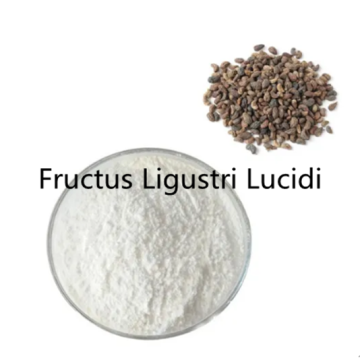 Fructus Ligustri Lucidi Extrakt Pulver online kaufen