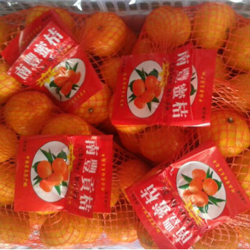 Gute Qualität von frischem süßem Baby-Mandarine