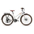 Two Seat Electric Road Bike for Leisure