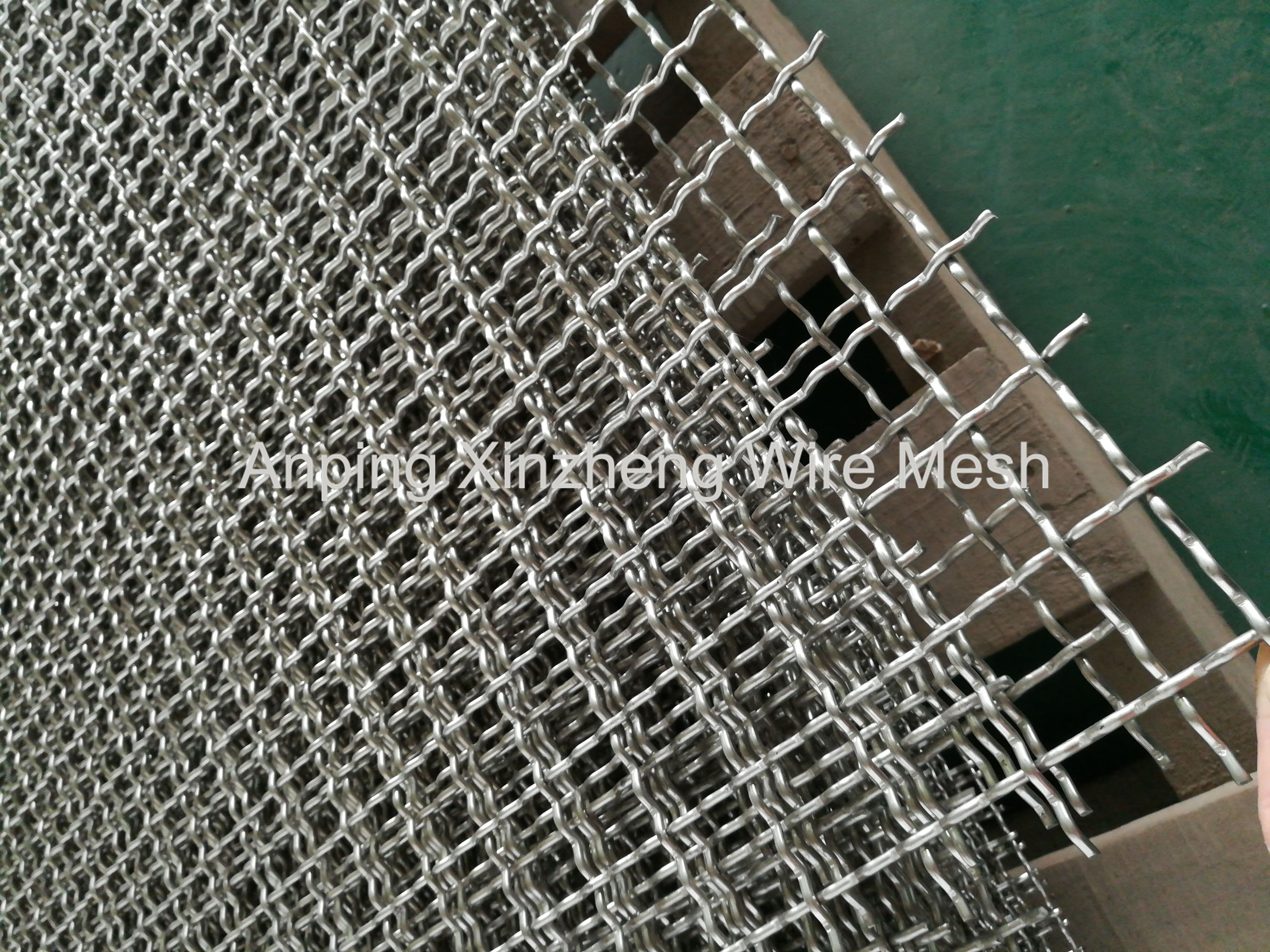 Bird Mesh