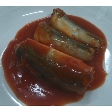 Makrelenfisch in Chili-Tomate Bunte OEM-Dose