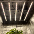 730Nm Far Red Led Grow Lights For Indoor