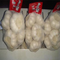 New Crop Melhor Preço para Garlic Factory Preço