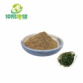 Gynostemma Plant Extract Gypenoside 80% 98%