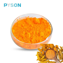 Turmeric Extract 95% HPLC USP