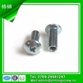 Phillips Recessed Truss Head Nut Screw