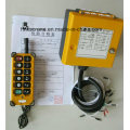 Crane Remote Control for Sale