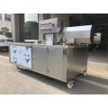 Conveyor Belt Fruit and Vegetable Cleaner Machine