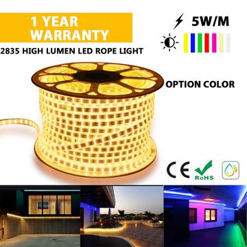 Hot sale LED strip light  holiday light