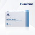 High Quality Group A Streptococcus Antigen Test Kit