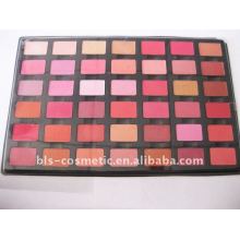 42 couleurs de palette de blush