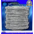 PVC Coated Barbed Wire for Security Fence with SGS