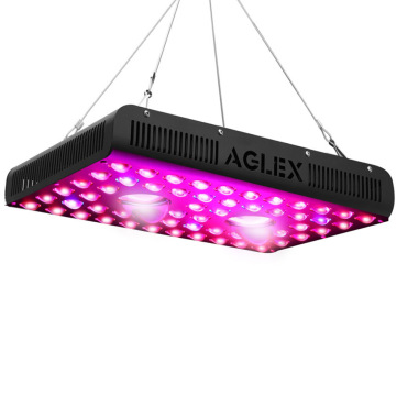 LED COB populaires élèvent des lumières 1200w pour serre