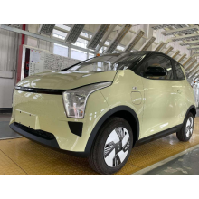 2023 Chinese New energy brand Sinogold EV small electric car with high quality