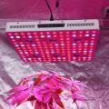 Happy New Year gift led grow lights