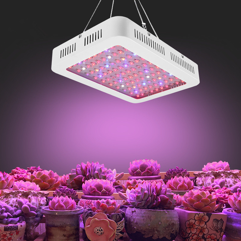 led grow 