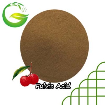 Fulvic Acid 80% From Leonardite Fertilizer