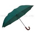 10 Ribs Auto Open 2 Folding Umbrella