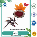 100% Natural Anthocyanidins Black Carrot Extract Powder