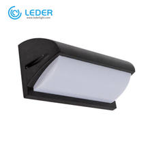 LEDER Stainless Steel Exquisite 12W Outdoor Wall Light
