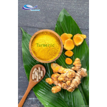 Natural Plant pigment Tumeric extract powder function