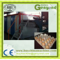 Small Output Egg Carton Machine