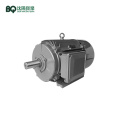 Multi-speed Lifting Motor YZTD225L2-4/8/32G