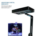 Rifffischtank Aquarium LED -Beleuchtung