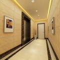 Mirror Design Decoration for Modern Commercial Elevator