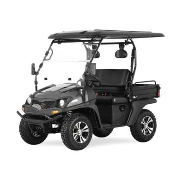 Jeep Style 200cc EFI Golf Carts com EPA