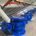 Rayhot PTFE butterfly valve