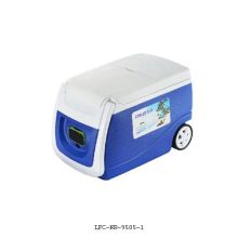 36L Mini réfrigérateur en plastique, Mini réfrigérateur, Congélateur, Can Cooler